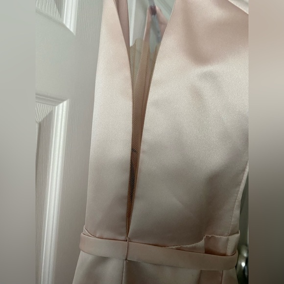 Sorella Vita Blush Pink Bridesmaid/Prom/Evening Dress - Picture 14 of 16